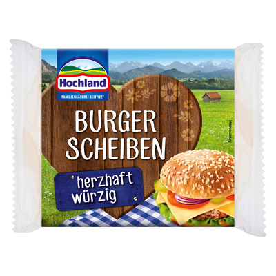 Schmelzkäse Scheiben 45 frisch 200g