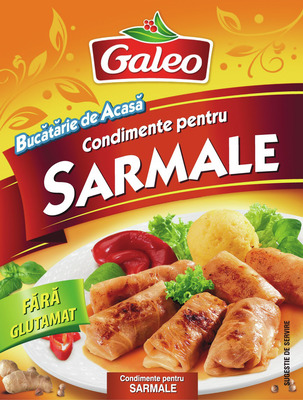 GALEO CONDIMENTE SARMALE 20G
