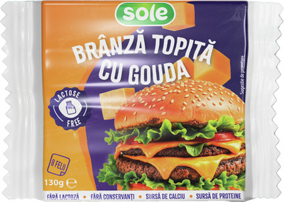 SOLE BRANZA TOPITA FELII GOUDA FARA LACTOZA 130G