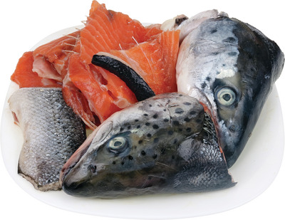 TACAM SOMON KG SALMO SALAR FAO 27