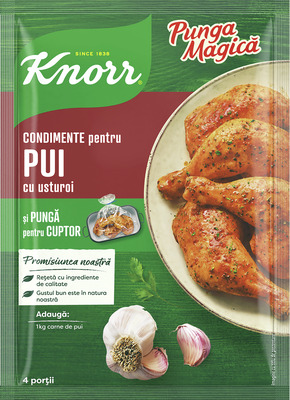 KNORR PUNGA MAGICA PUI CU USTUROI 28G