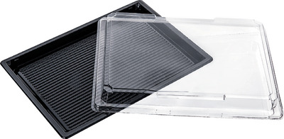 CASEROLE SUSHI DELI 215X135X20 40BUC