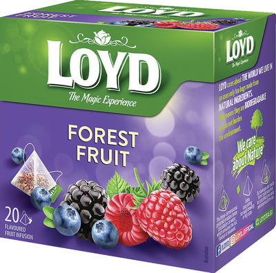 LOYD CEAI FRUCTE DE PADURE 20X2G