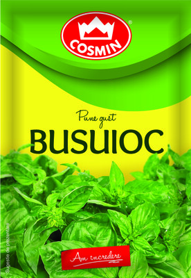 COSMIN BUSUIOC 8G