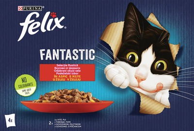 FELIX FANTASTIC PLIC VITA&PUI 4X12480091