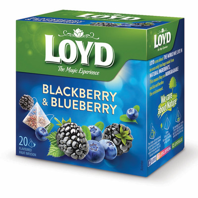 LOYD CEAI MURE&AFINE 20X2G PIRAMIDA