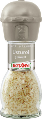 KOTANYI RASNITA USTUROI 48G