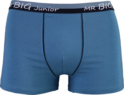 MR BIG BOXER BAIETI 12 14 ANI 100BUMBAC COD 422 BLEU