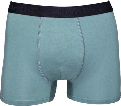 MR.BIG BOXERI BARBATI 216 92%BAMBUS 8%ELASTAN VERDE XL