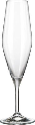 BOHEMIA SET 6 PAHARE FLUTE 210ML GAVIA