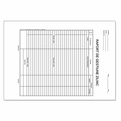 RAPORT GESTIUNE ZILNIC A4 100 FILE