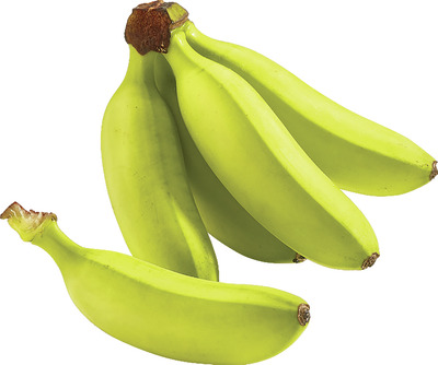 BABY BANANE KG ECUADOR CALITATEA I