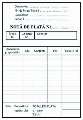 NOTA DE PLATA A6 100 FILE SET 3 BUCATI